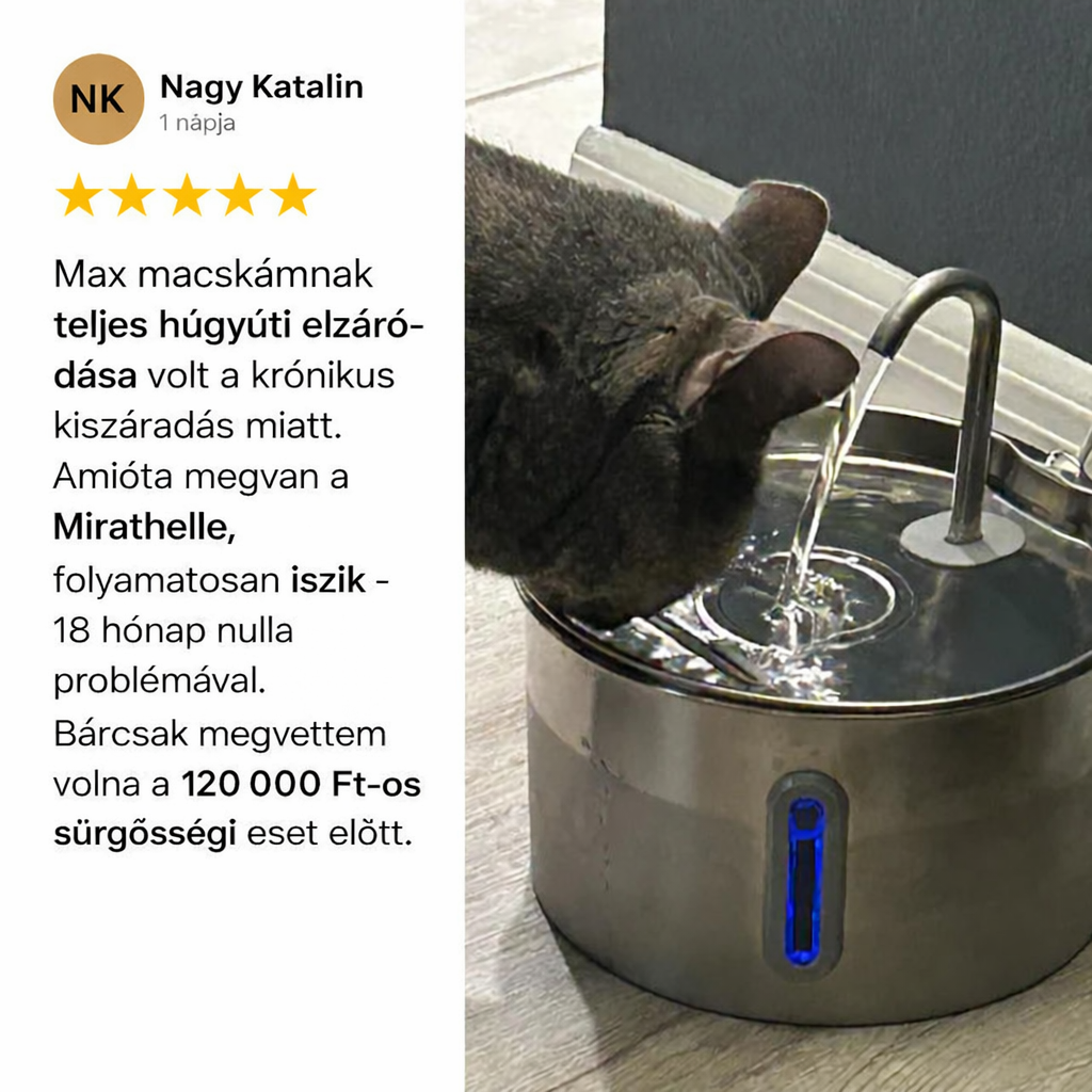 Óvd meg macskádat a húgyúti fertőzésektől és vesebetegségtől a Mirathelle™-el