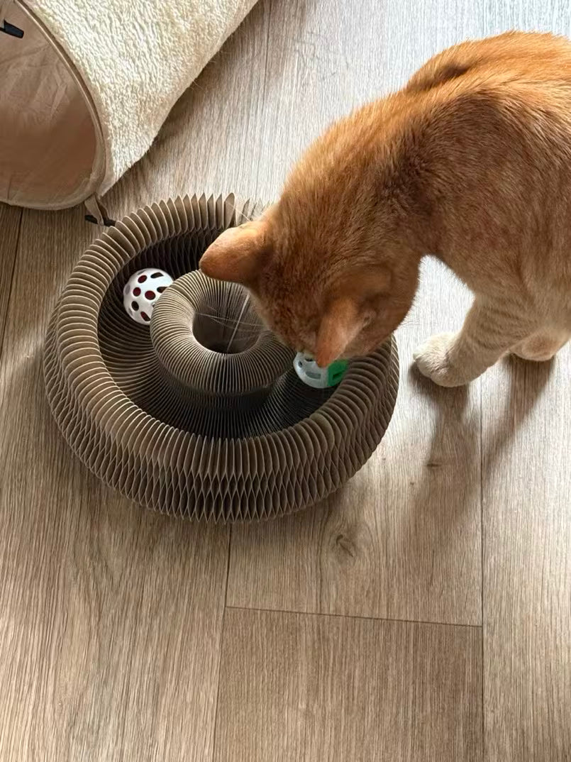 Óvd meg az otthonod, a bútoraidat és a kezeidet a Cicafánkkal