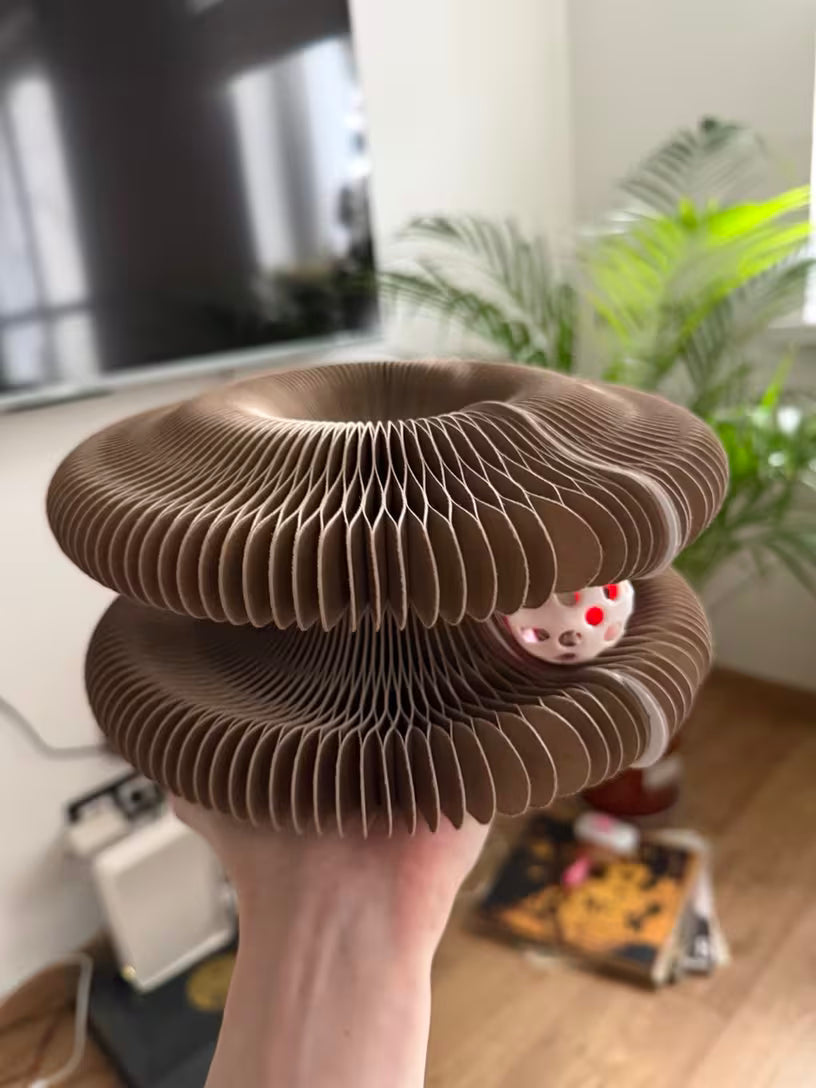 Óvd meg az otthonod, a bútoraidat és a kezeidet a Cicafánkkal