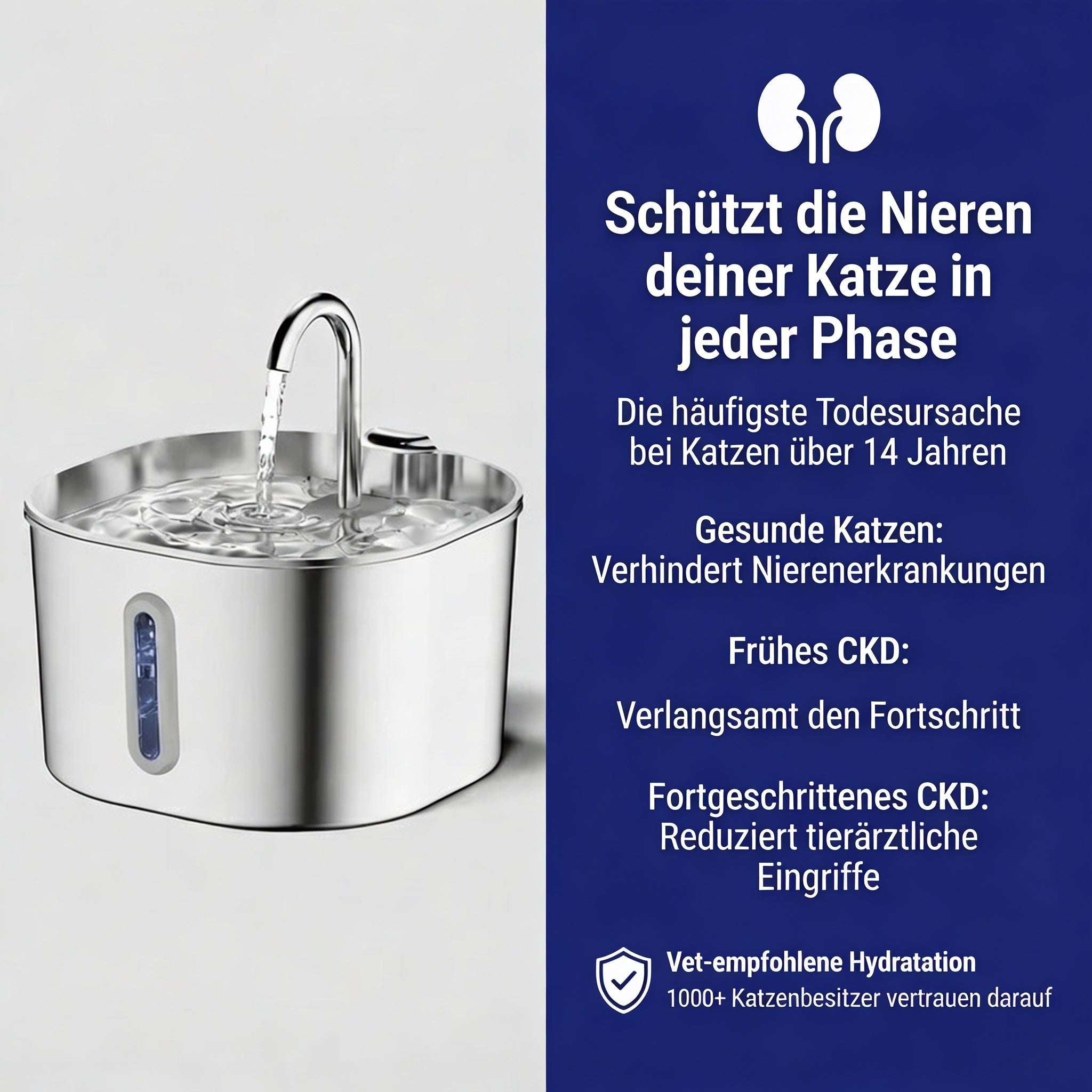 Schützen Sie Ihre Katze mit Mirathelle™ vor Harnwegsinfektionen und Nierenerkrankungen.